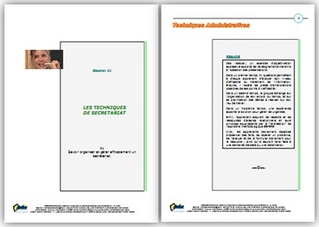 Prestation - Techniques de Secrétariat ISRI cadré