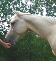 Equi-management ISRI - photo Formation Emotions